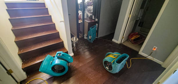 Best Carpet water damage restoration  in Cape May, NJ