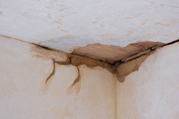 Best Residential water damage restoration  in Cape May, NJ