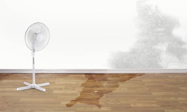 Best Commercial water damage restoration  in Cape May, NJ