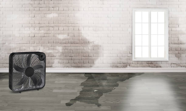 Best Fire Damage Restoration  in Cape May, NJ