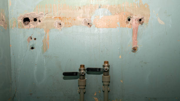 Water damage restoration mold remediation in NJ