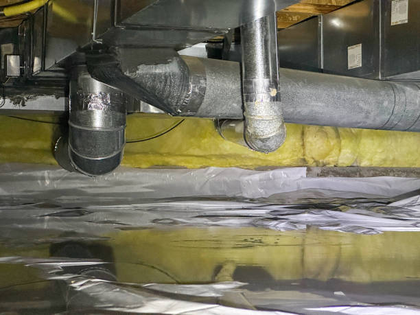Best Water damage cleanup near me  in Cape May, NJ