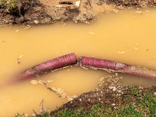 Best Water damage contractors near me  in Cape May, NJ